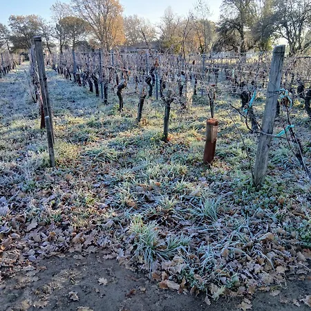 Maison Des Capucins Lalande-de-Pomerol