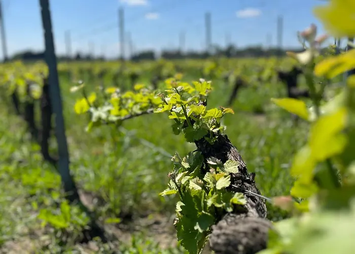 Frühstückspension Maison Des Capucins 3*