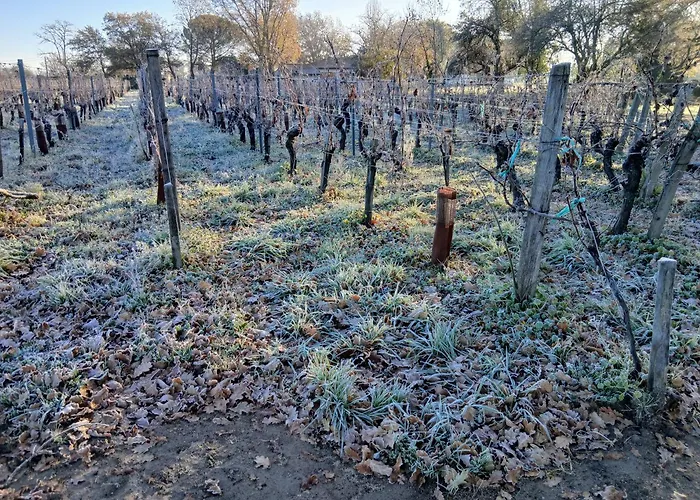 Maison Des Capucins Lalande-de-Pomerol